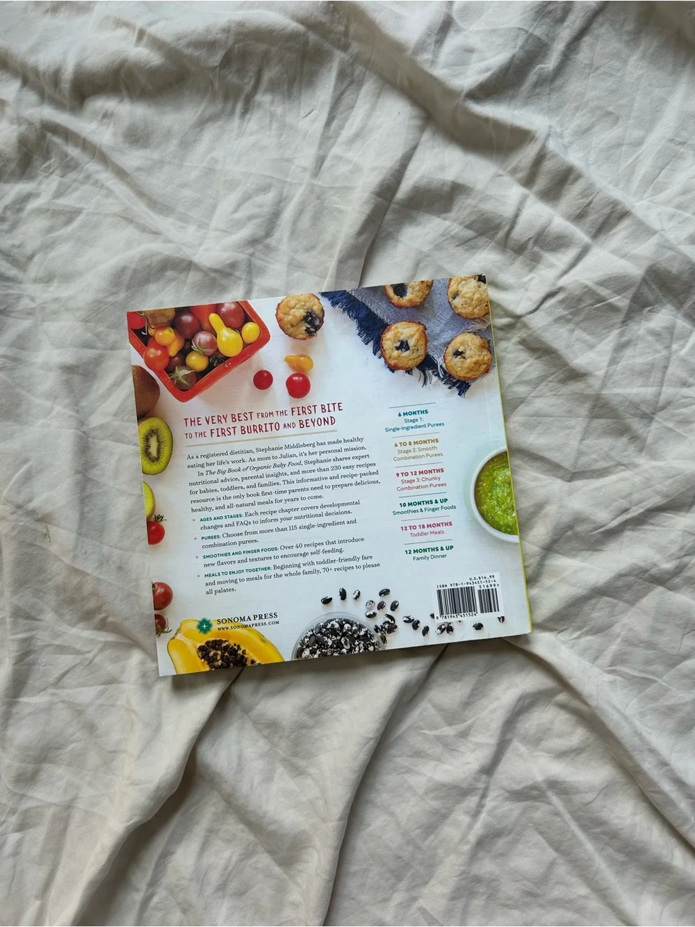 The Big Book of Organic Baby Food